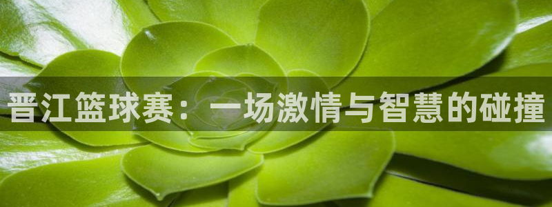 球速体育app下载官方网站：晋江篮球赛：一场激情与智慧的碰撞