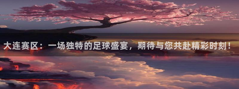 球速体育APP最新版本更新内容是：大连赛区：一场独特的足球盛