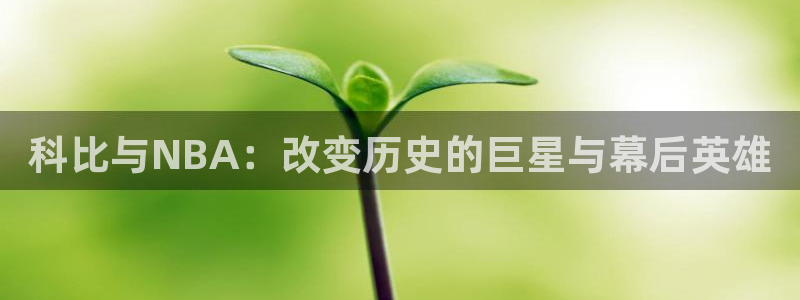 球速体育平台下载地址：科比与NBA：改变历史的巨星与幕后英雄