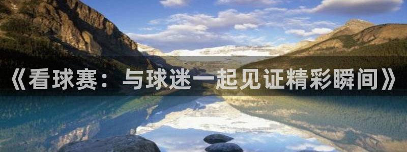 球速体育官方：《看球赛：与球迷一起见证精彩瞬间》