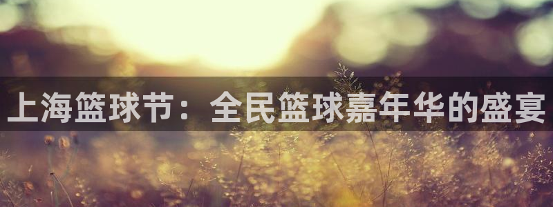 球速体育官方网址：上海篮球节：全民篮球嘉年华的盛宴