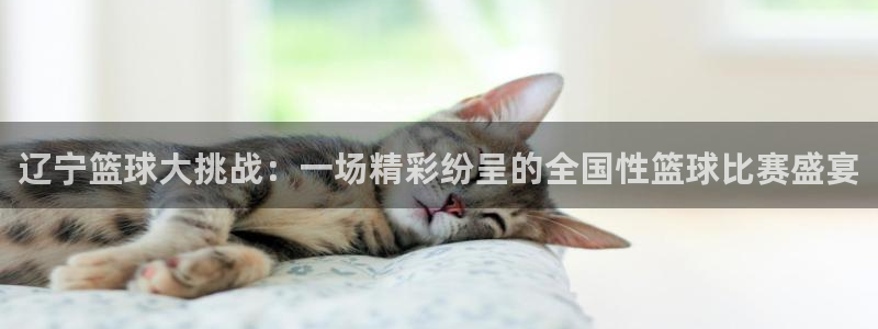 球速体育app下载地址手机版最新：辽宁篮球大挑战：一场精彩纷